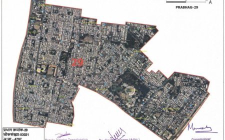 प्रभाग क्रमांक  29