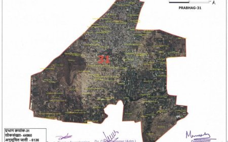 प्रभाग क्रमांक 31